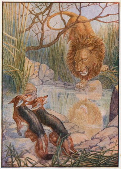 O rosto de um leão olhou para ele fora da água (cor litho) de Patten Wilson