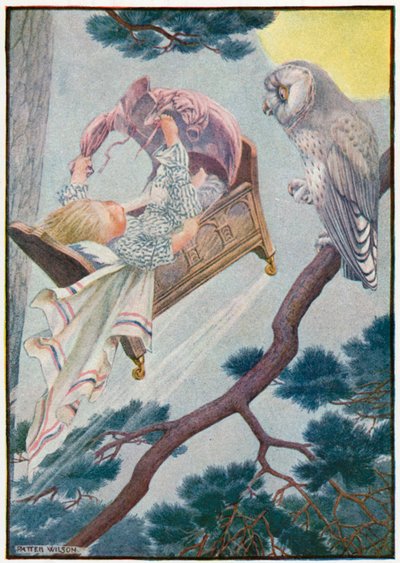 Pequena volta de macaco (cor litho) de Patten Wilson