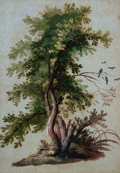 Uma árvore com dois pássaros empoleirados em um galho (lápis sobre papel) de Paul Brill or Bril
