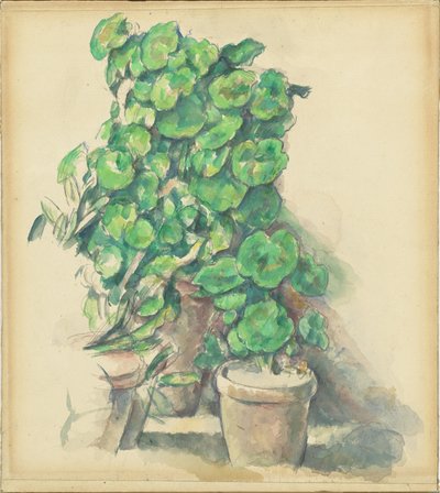 Gerânios de Paul Cézanne