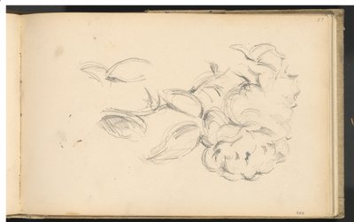 Peônias de Paul Cézanne