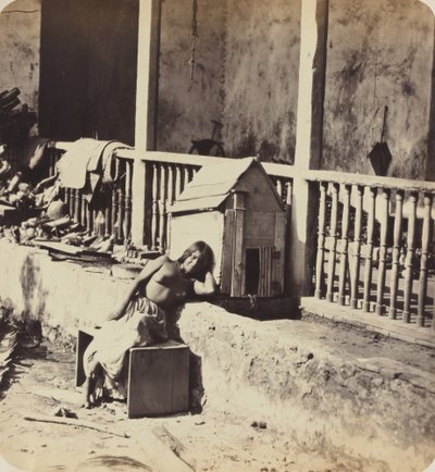 Cão de Garvel (Martinica) de Paul Emile Miot
