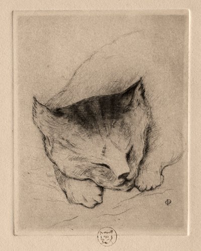 Seis gravuras: cabeça de um gatinho de Paul Gachet