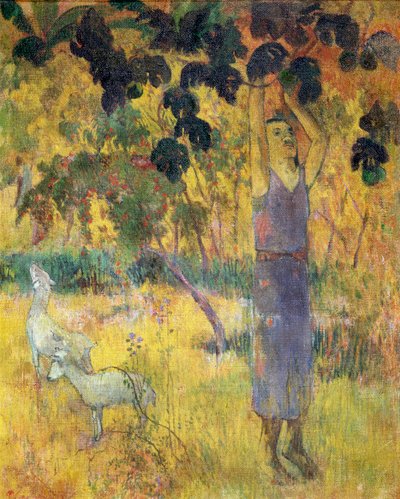 Homem colhendo frutos de uma árvore, 1897. de Paul Gauguin