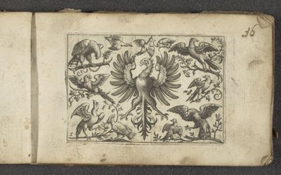 Ave de rapina e onze outras aves
Pássaros (título da série) de Paul Göttich