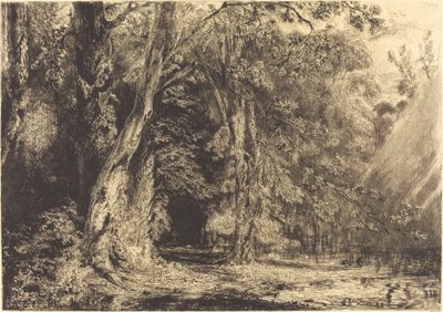 Inundações na floresta da Ile Séguin de Paul Huet