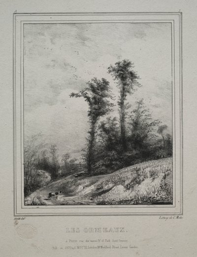 Paisagens: Jovens Olmos de Paul Huet