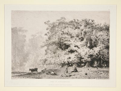 Bosques perto de Fontainebleau de Paul Huet