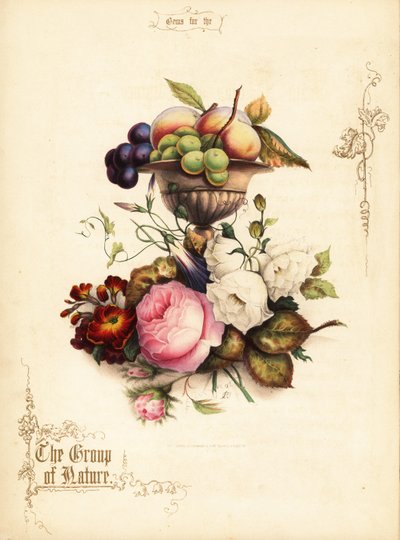 Bouquet de rosas com uvas e pêssegos em vaso. de Paul Jerrard