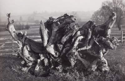 "Laocoon", Carswall