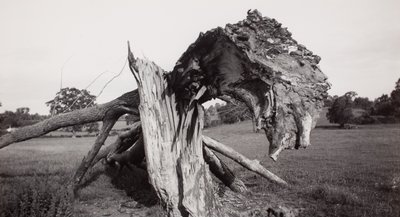 "Monster Field", Carswall