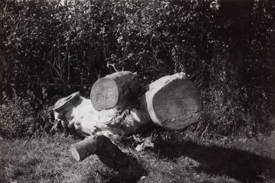 Pesquisa de objectos de Paul Nash