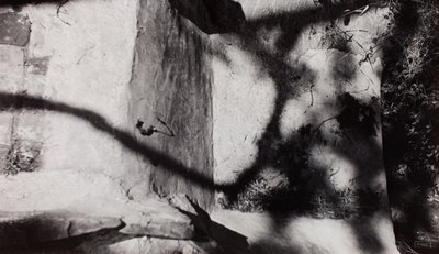 Step Edge; abaixo o jardim de Nash em New House, Rye, Sussex de Paul Nash