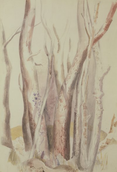 Estudo de uma paisagem arborizada de Paul Nash