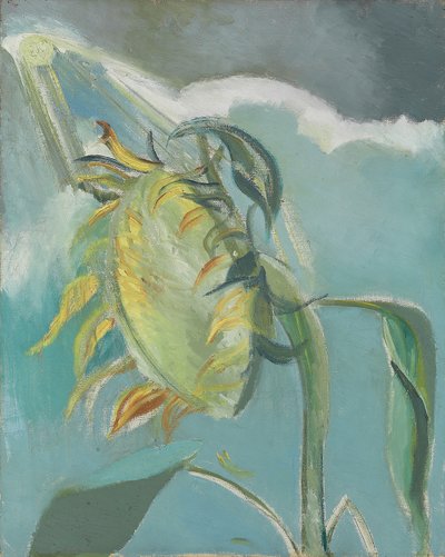 Girassol e Sol, c. 1945 (óleo sobre tela) de Paul Nash