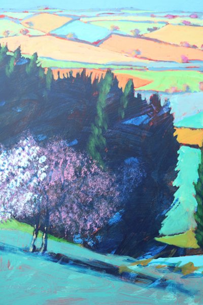 Teme Valley blossom fecha 1 (acrílico a bordo) de Paul Powis