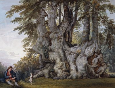 Um garoto fazendo um cachorro dançar pelo tronco de uma antiga árvore de faia retorcida, de Paul Sandby