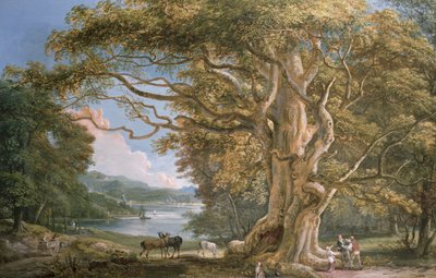 Faias Antigas de Paul Sandby