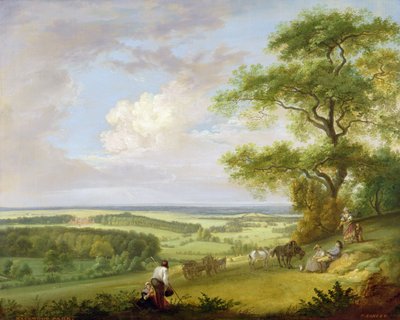 Hackwood Park, Hampshire (óleo sobre tela) de Paul Sandby
