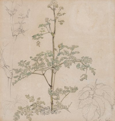  de Paul Sandby