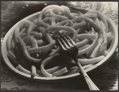 Prato de noodles com garfo de Paul Wolff