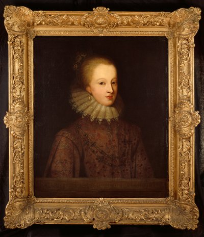 Elizabeth Percy, Condessa de Berkshire (óleo sobre tela) de Paul van Somer