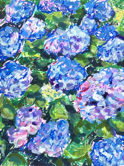 Flores coloridas de hortênsia de Pauline Wegman | Key and Sea Creative