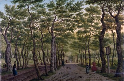 O Herepad no Haagse Bos de Paulus Constantin La Fargue