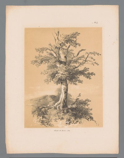 Árvore
Vistas pitorescas de Paulus Lauters (título da série)
Etrennes pittoresques pour 1839, par Lauters (título da série) de Paulus Lauters