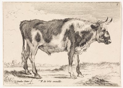 boi malhado Bois e Vacas (título da série) de Paulus Potter (rejected attribution)
