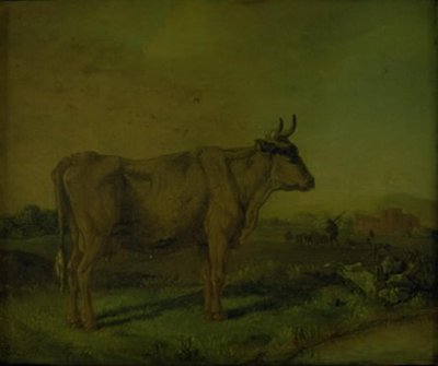 Uma vaca de Paulus Potter
