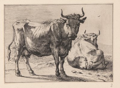 Uma vaca de pé e outra deitada, de Vários bois e vacas de Paulus Potter