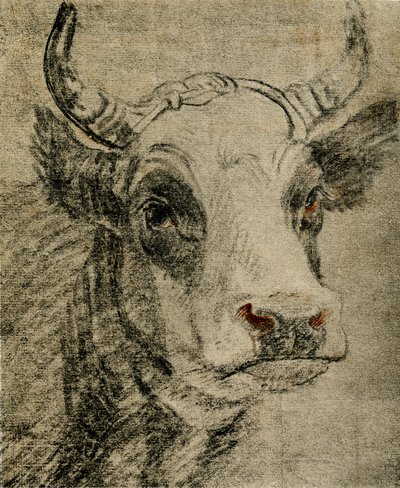 Estudo animal de Paulus Potter