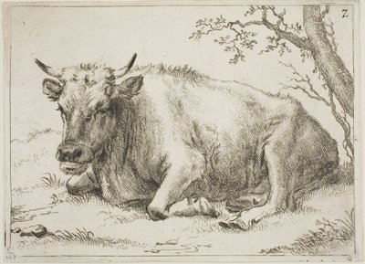 Vaca deitada ao lado de uma árvore, prato 7 de Oito touros e vacas de Paulus Potter