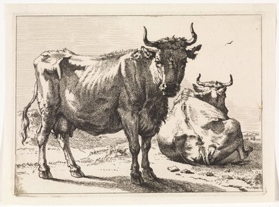 Uma vaca em pé e uma vaca reclinada
O Livro dos Touros (título da série) de Paulus Potter