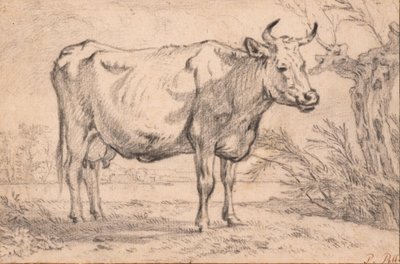  de Paulus Potter