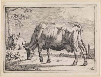  de Paulus Potter