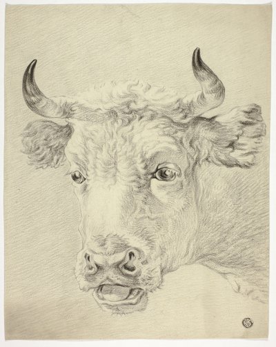cabeça de vaca de Paulus Potter