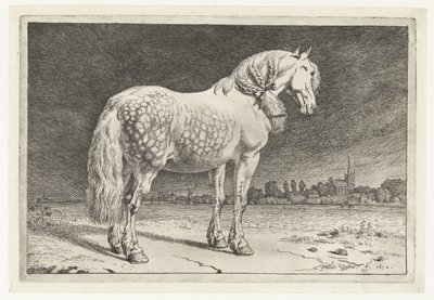 O cavalo Friesian Cavalos (título da série) de Paulus Potter