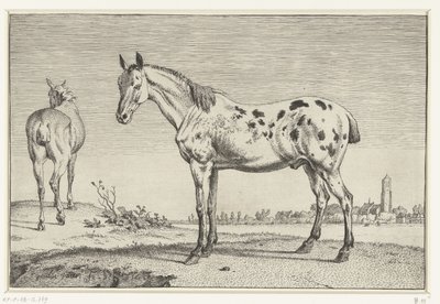O cavalo ancorado Cavalos (título da série) de Paulus Potter