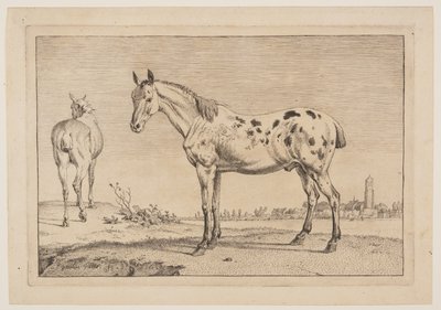 O cavalo que relincha, de Série de cavalos de Paulus Potter