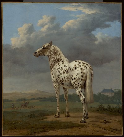 O cavalo "Piebald", c.1650-1654 (óleo sobre tela) de Paulus Potter