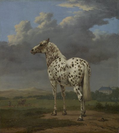 O Cavalo "Malhado", c.1650-4 (óleo sobre tela) de Paulus Potter
