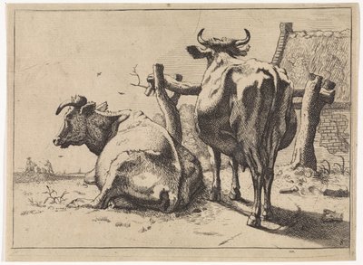 Duas vacas vistas de trás
O Livro dos Touros (título da série) de Paulus Potter