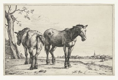 Dois cavalos de charrua
Cavalos (título da série) de Paulus Potter