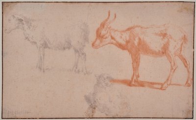 Duas ovelhas e uma cabra (estudos com animais) de Paulus Potter