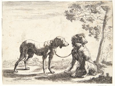 Dois cães amarrados juntos de Paulus van Hillegaert (II)