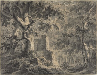 Ruínas por um córrego da floresta de Paulus van Liender