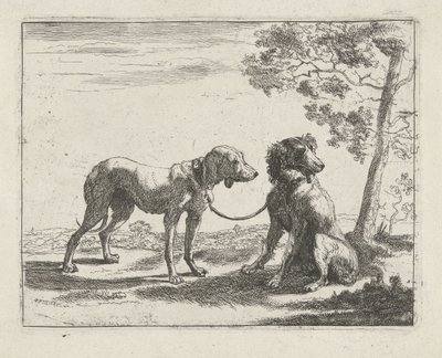 Dois cães
Cães (título da série) de Pauwels van Hillegaert