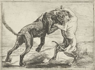 Dois cães de luta Cães (título da série) de Pauwels van Hillegaert